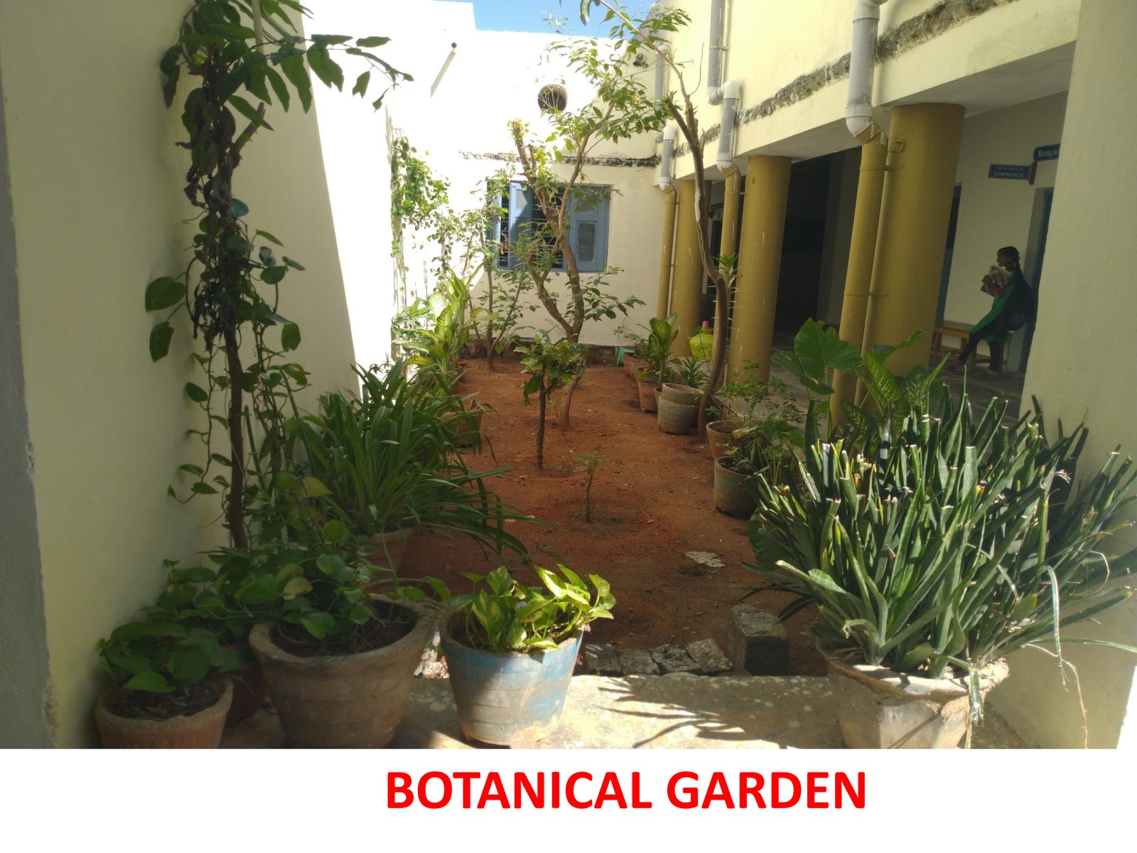 Botanical Garden - photo 4