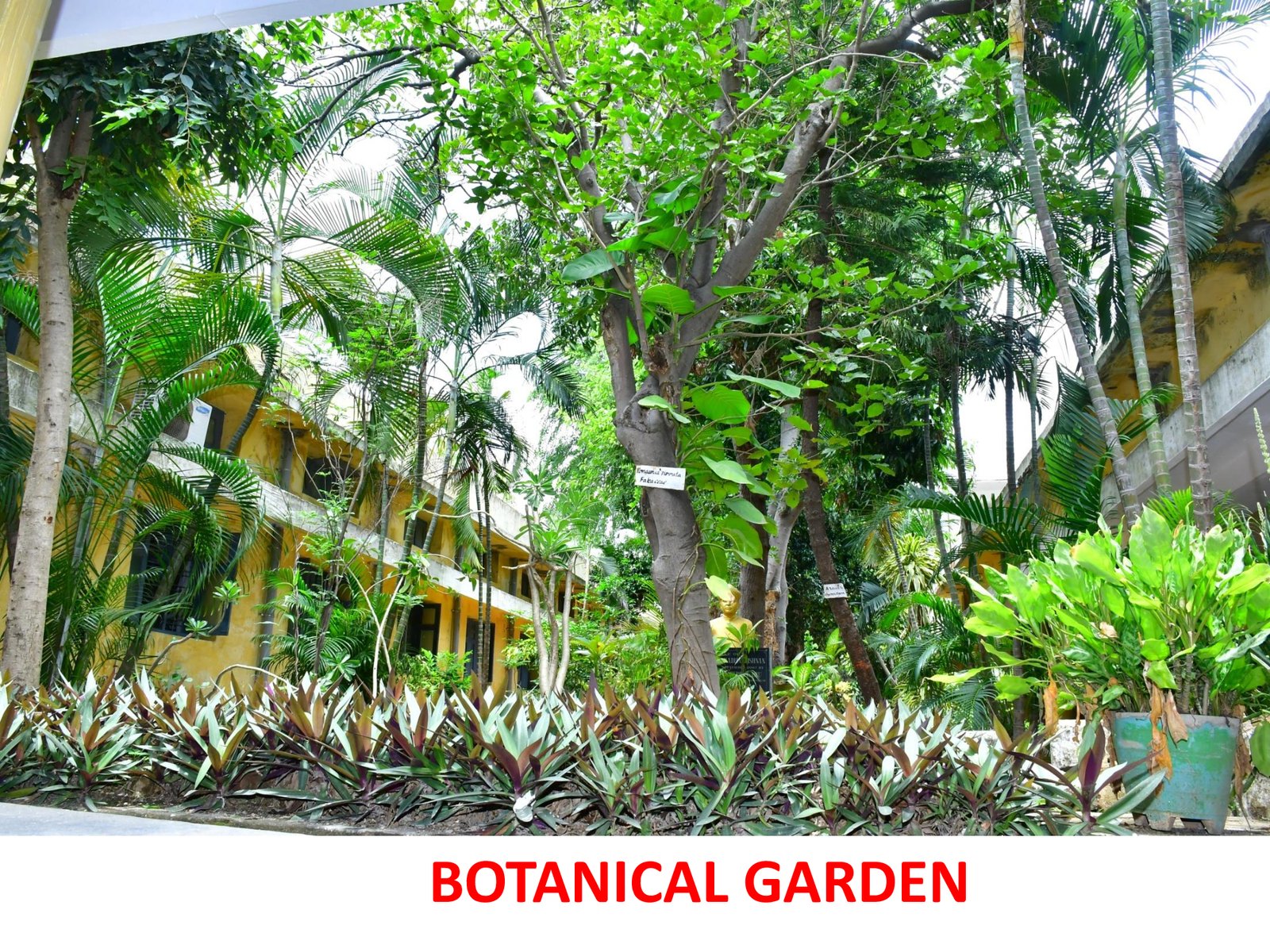 Botanical Garden - photo 1