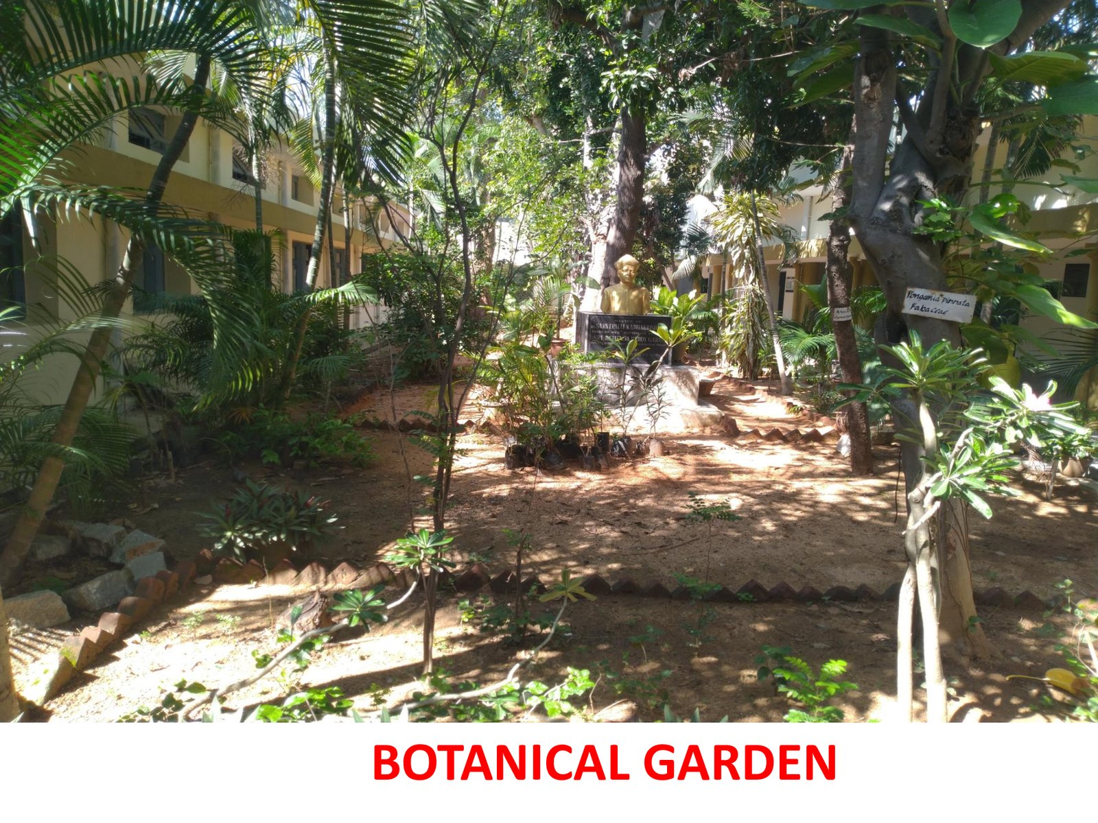 Botanical Garden - photo 2