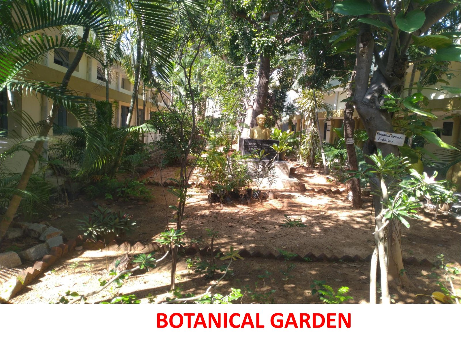 Botanical Garden - photo 3